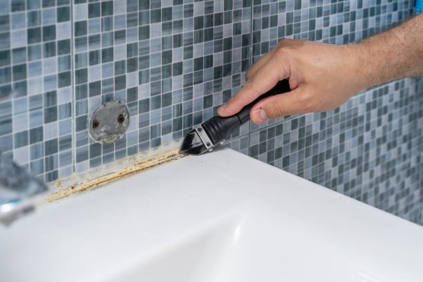 Best Emergency Mold Remediation in Lone Star, TX